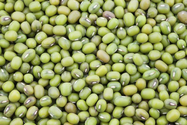 Mungo beans background — стокове фото