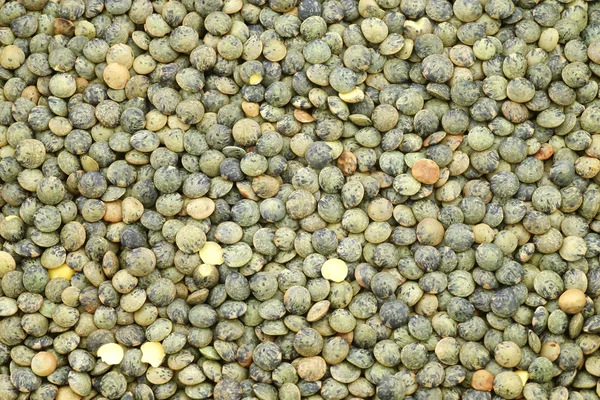 Lenticchie verdi francesi (lentilles du Puy ) Immagine Stock