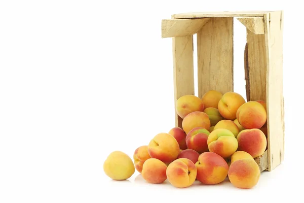 Fresh colorful apricots in a wooden box — Stock Photo, Image