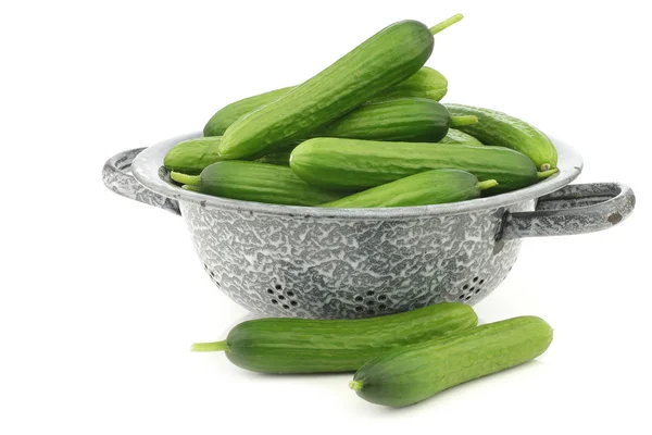 Fresh green snack cucumbers in an enamel colander — Stock Photo, Image