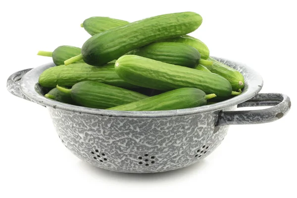 Fresh green snack cucumbers in an enamel colander — Stock Photo, Image