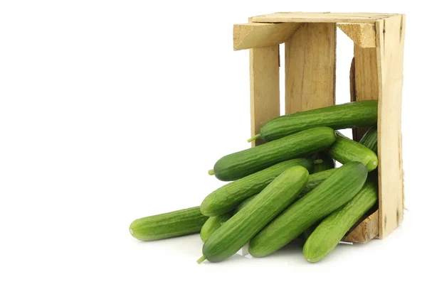 Verse groene snack komkommers in een houten doos — Stockfoto