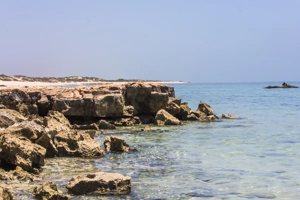 Ocean and Rocks — Stock Photo, Image