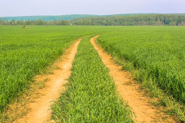 The Road on the Field — Stock Photo, Image