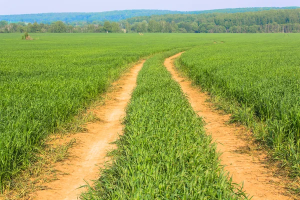 El camino en el campo —  Fotos de Stock