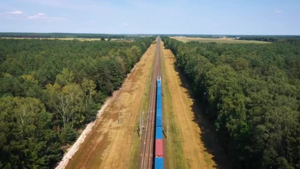 Letecký pohled na elektrický vlak s nákladem železniční nákladní dopravy po železnici — Stock video