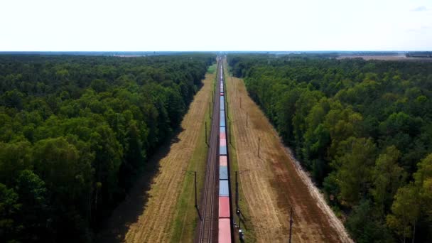Letecký pohled na elektrický vlak s nákladem železniční vagóny po železnici — Stock video