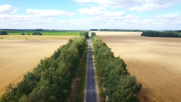 Międzymiastowa autostrada przez pola rolnicze z widokiem z lotu ptaka — Wideo stockowe