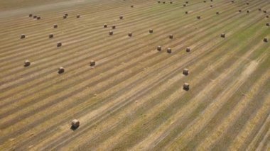 Yuvarlak Hasır Yığını Yuvarlak Havadan Görünümlü Tarım Alanı