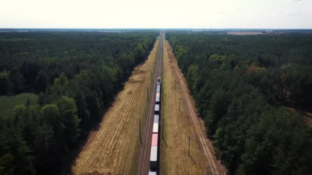 Vista aérea do trem elétrico com transporte ferroviário de vagões de carga por via férrea — Vídeo de Stock