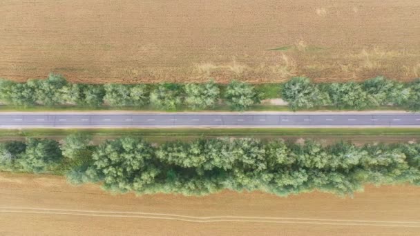 Flyg över tom landsbygd Road passerar genom gyllene landsbygd vetefält — Stockvideo