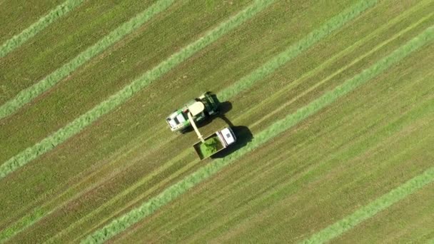 Gabungan Panen Mengumpulkan Rumput Dari Ladang Pertanian Dan Memasukkan ke Trailer Traktor — Stok Video