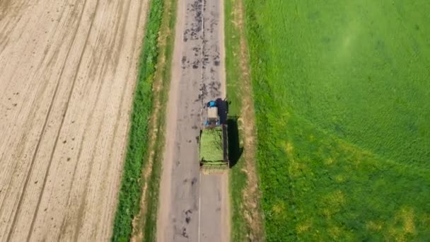 Traktor s přívěsem plným posekané trávy sklizeň sena se pohybuje podél venkovské silnice — Stock video