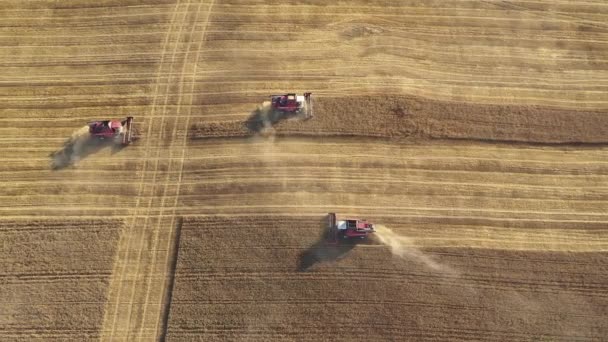 Muitas colheitadeiras colheitadeiras colheitas em um campo agrícola vista aérea — Vídeo de Stock