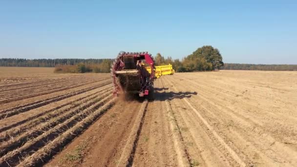 Mașina de tractor combină recoltele de cartofi coapte dintr-un câmp agricol rural — Videoclip de stoc