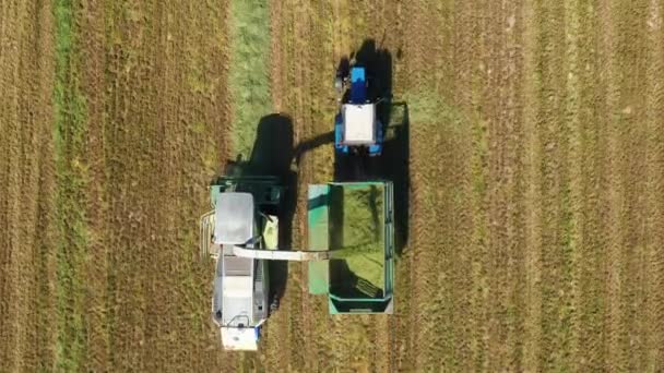 Combine Harvesters Harvesting Mown Grass In Field And Pour Into Tractor Trailer — Stock Video