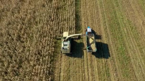 Vista aérea acima da ceifeira Colete milho no campo e despeje-o no reboque do trator — Vídeo de Stock