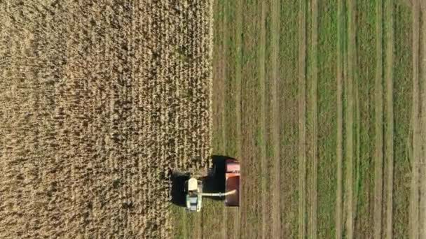 Вид с воздуха над харвестером Сбор кукурузы в поле и вылить его в грузовик трейлер — стоковое видео