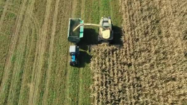 Aerial View Above Harvester Collect Corn In Field And Pour It In Tractor Trailer — Stok Video