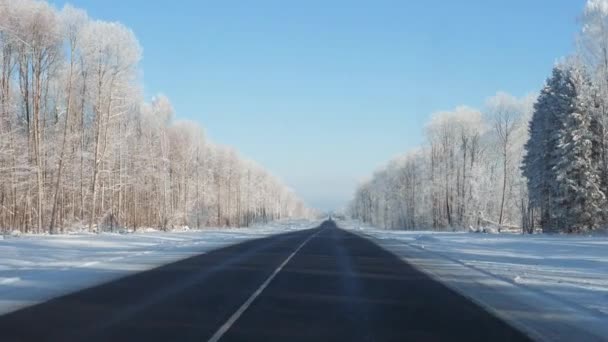 Conduire sur la route Par une journée enneigée d'hiver à travers la forêt — Video