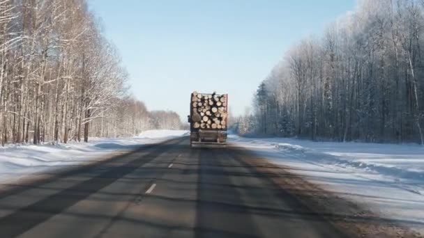 Перевезення вантажівок Стовбури дерев вздовж шосе — стокове відео