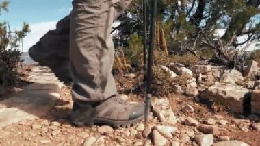 İskandinav Çubuklarıyla Dağda Yürüyen Yaşlı İnsanlar