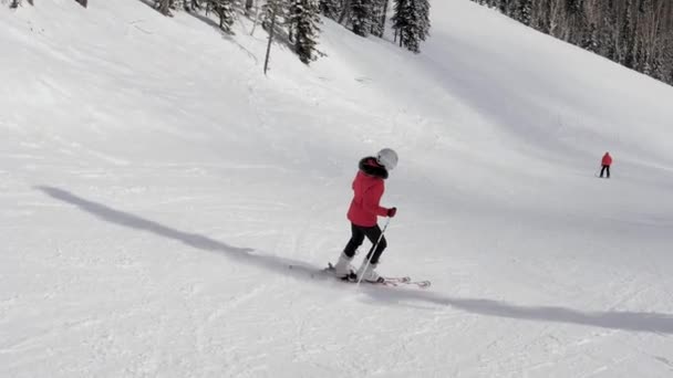 Początkujący narciarz na nartach w dół zbocza toru na górze w zimie — Wideo stockowe