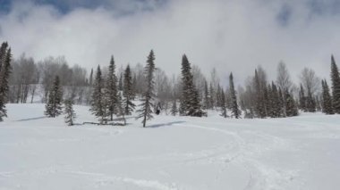 Profesyonel Alp Kayakçısı Freerider Kışın Dağlarda Taze Karda