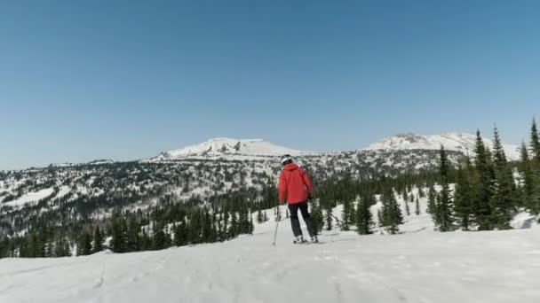 Esqui experiente liga esquis rolando para baixo uma encosta nas montanhas no inverno — Vídeo de Stock