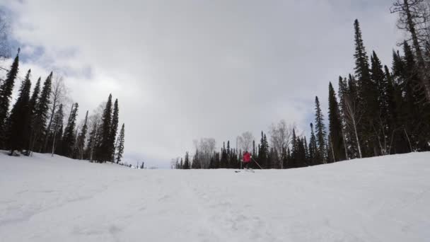 Sciatore principiante con attenzione sci sul pendio della pista in montagna in inverno — Video Stock