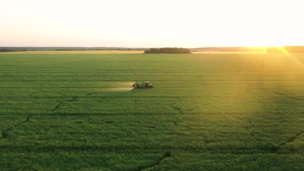 Farmer Tractor ψεκάζει Λιπάσματα πάνω από το πεδίο των γεωργικών καλλιεργειών στο ηλιοβασίλεμα — Αρχείο Βίντεο