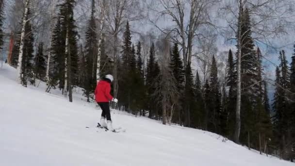 快乐滑雪者在高山上滑行冬季度假胜地在运动 — 图库视频影像
