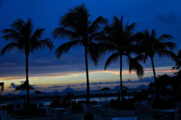 夜池畔和棕榈在黄昏天空背景 — 图库照片