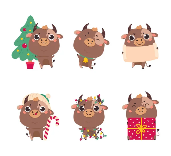 Conjunto de buey de dibujos animados lindo y vacas. Feliz año nuevo — Vector de stock