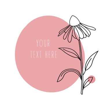 Özet arka planda en az ekinezya çiçeği. 