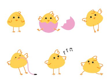 Paskalya tavukları..