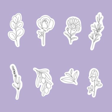 Soyut bitkiler seti. El çizimi sanat.