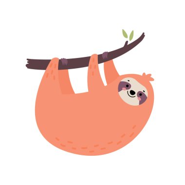 Ağaçta asılı şirin bir el tembelliği..