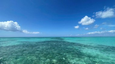 Okyanus ya da deniz, birkaç bulutla mavi bir gökyüzünün altında durgun su yüzeyi. Plaj ve tropikal ağaçlarla kıyı manzarası. Yaz zamanı tatil köyü cenneti 
