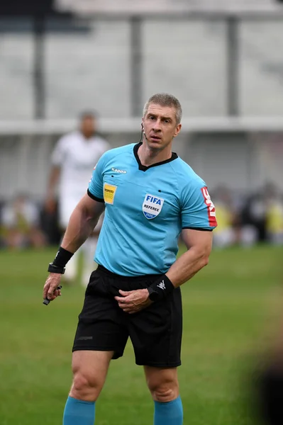 Rio Brazil November 2020 Anderson Daronco Referee Match Vasco Palmeiras — стокове фото