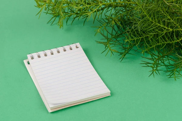 Notatnik Papierowy Obok Gałęzi Cyprysu Zielonym Tle — Zdjęcie stockowe