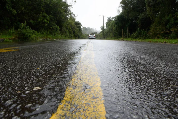 Strada Circondata Alberi Che Mostrano Striscia Centrale Giorno Nebbioso — Foto Stock