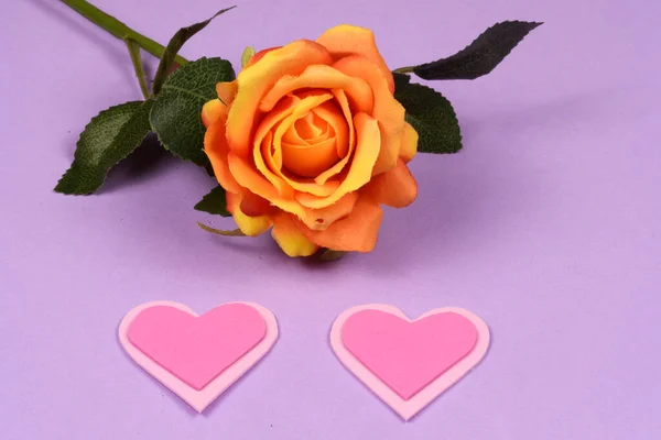 Flor Amarela Sobre Fundo Lilás Com Corações Espaço Para Texto — Fotografia de Stock