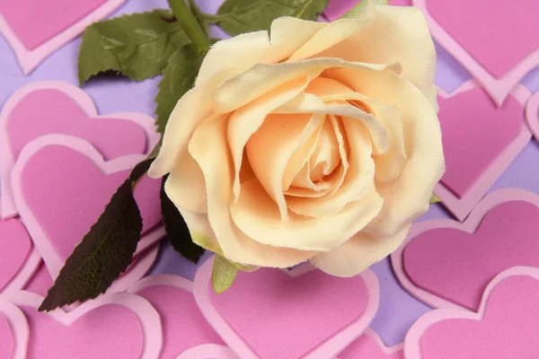 Amarelo Rosa Flor Sobre Corações — Fotografia de Stock