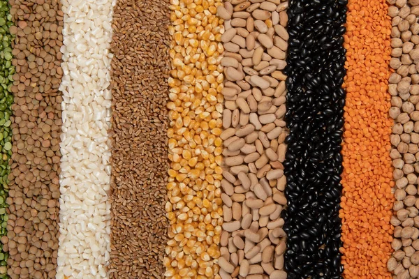 Collection Different Cereal Varieties Edible Dry Seeds Examples Fiber Sources — Stock Photo, Image