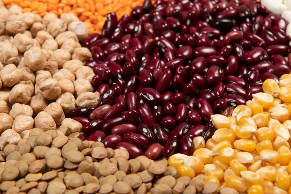 Porciones Diferentes Variedades Cereales Semillas Secas Comestibles Ejemplos Fuentes Fibra — Foto de Stock
