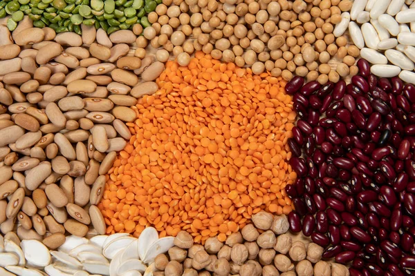 Porciones Diferentes Variedades Cereales Semillas Secas Comestibles Ejemplos Fuentes Fibra — Foto de Stock