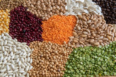 Farklı mısır gevreği çeşitleri ve yenebilir kuru tohumlar. Üst görünümdeki lif kaynakları örnekleri