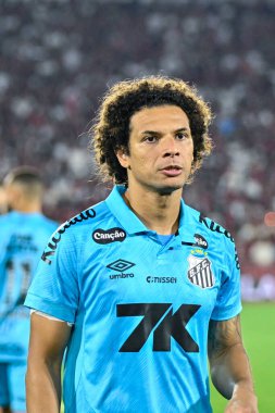 Rio, Brezilya - 09 Kasım 2025: Willian Arao Flamengo 3 x 2 Santos arasında oynanan maçta Maracana Stadyumu 'nda oynanan Brezilya Şampiyonası' nın 33. turunda