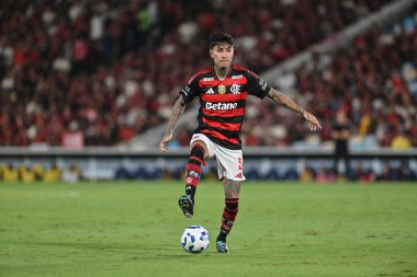 Rio, Brezilya - 03 Aralık 2025: Flamengo x Ceara ile Maracana Stadyumu 'nda oynanan maçta Erick Pulgar oyuncusu